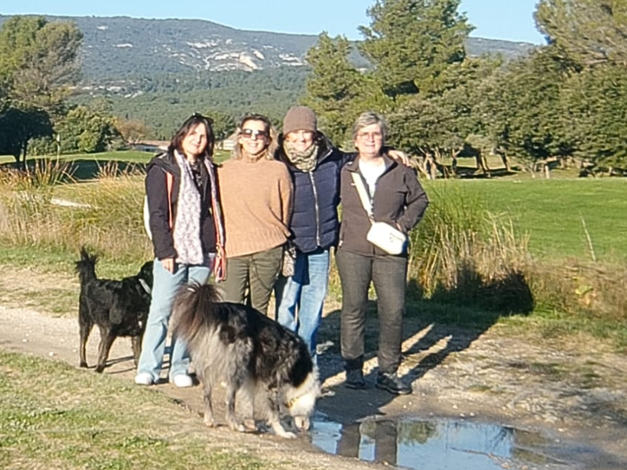 Participantes lors d’une balade collective avec des chiens